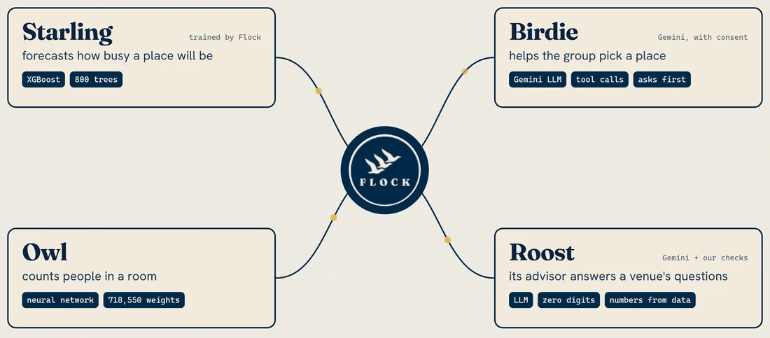 The four models around the Flock mark. Starling, trained by Flock, forecasts how busy a place will be: XGBoost, 800 trees. Birdie, Gemini with consent, helps the group pick a place: tool calls, and it asks first. Owl counts people in a room: a neural network with 718,550 weights. Roost, Gemini plus our checks, is an advisor that answers a venue’s questions: zero digits, numbers from data.